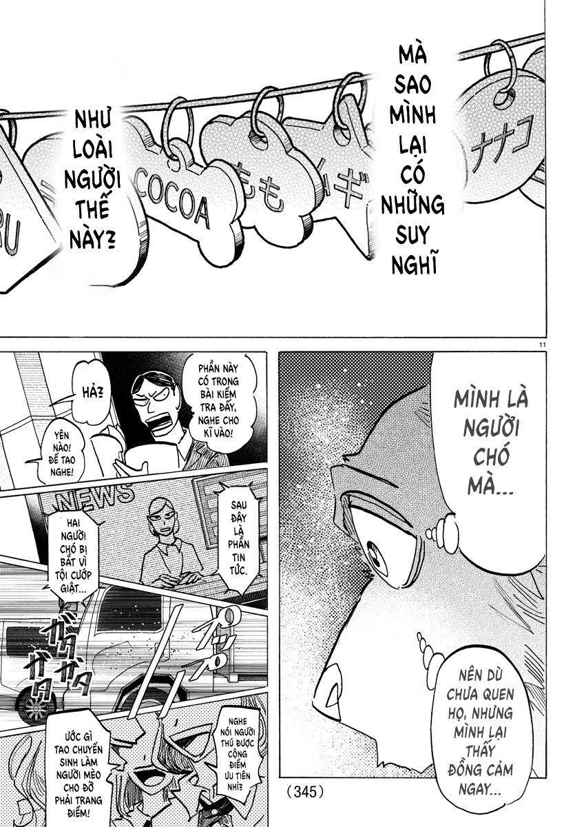 Lý Trí Của Taika [Chap 25-28]