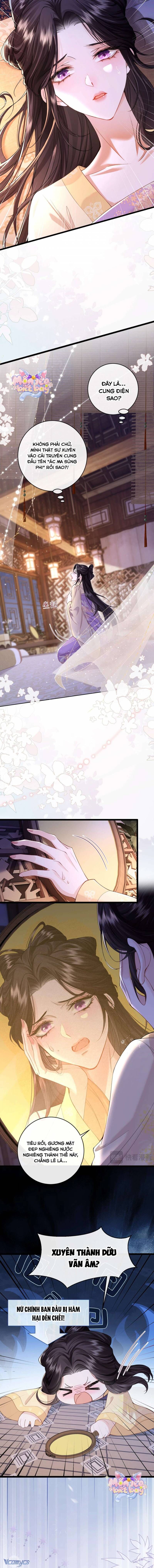 Chapter 3 - Image 3