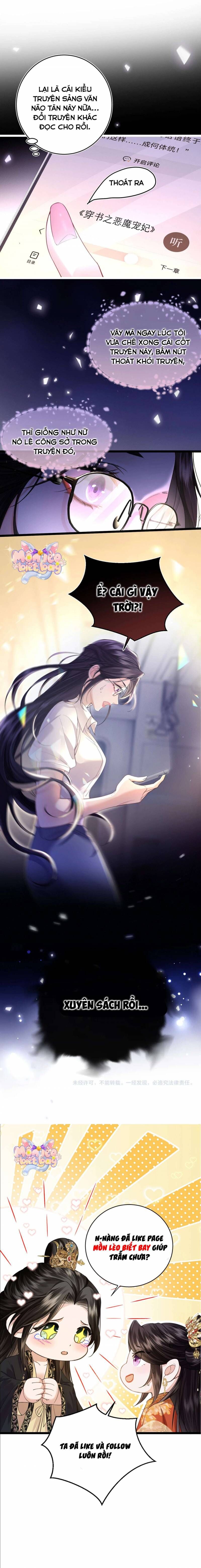 Chapter 2 - Image 5