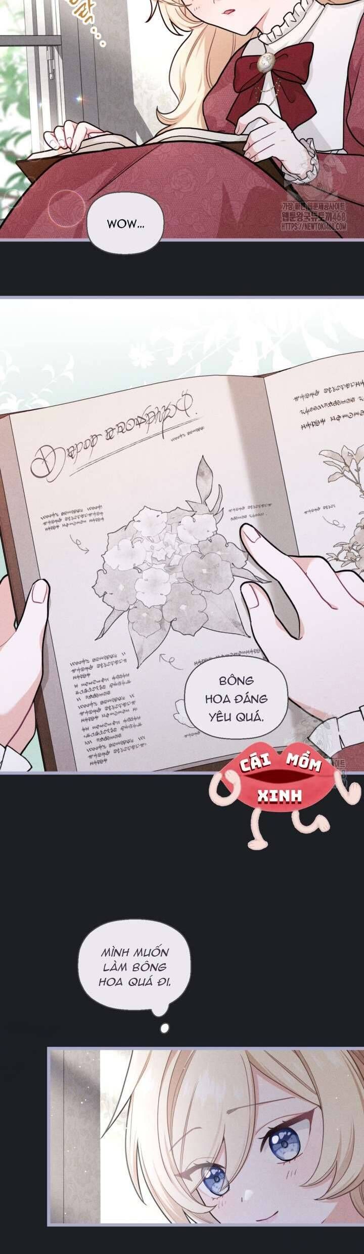 Bệ Hạ Xin Hãy Quên Tôi Đi [Chap 1-14]