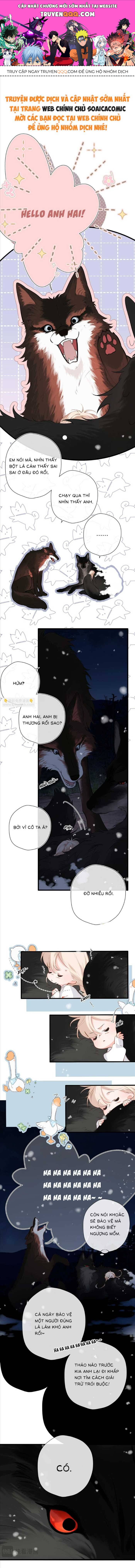 Tố Hồi Xuân Thời [Chap 24-43]