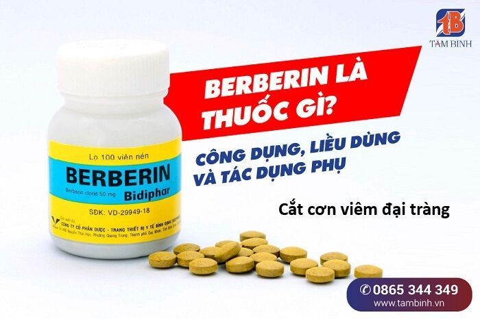 Hổ Đến Chơi Nhà [Chap 150-153] - Page 9