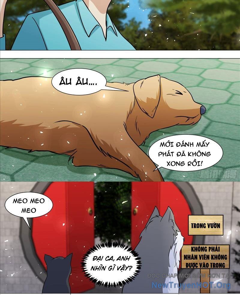 Trọng Sinh Thành Chó Của Nữ Thần [Chap 380-391]