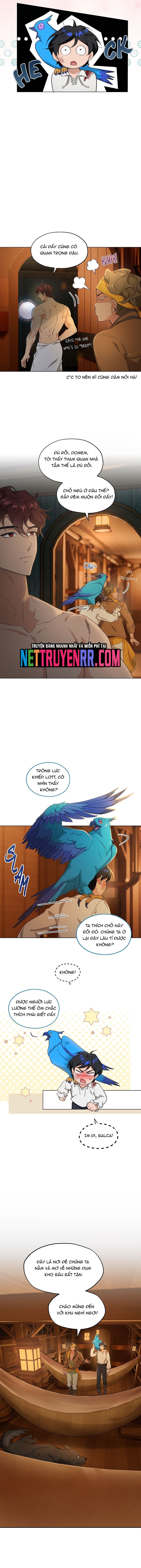 Hải Âu &amp; Sói Hoang [Chap 1-41]
