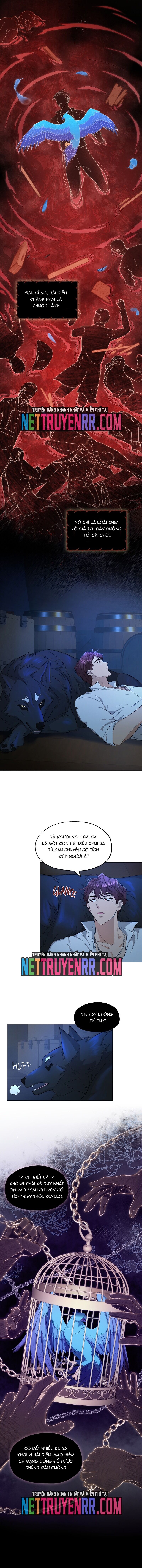 Hải Âu &amp; Sói Hoang [Chap 1-41]