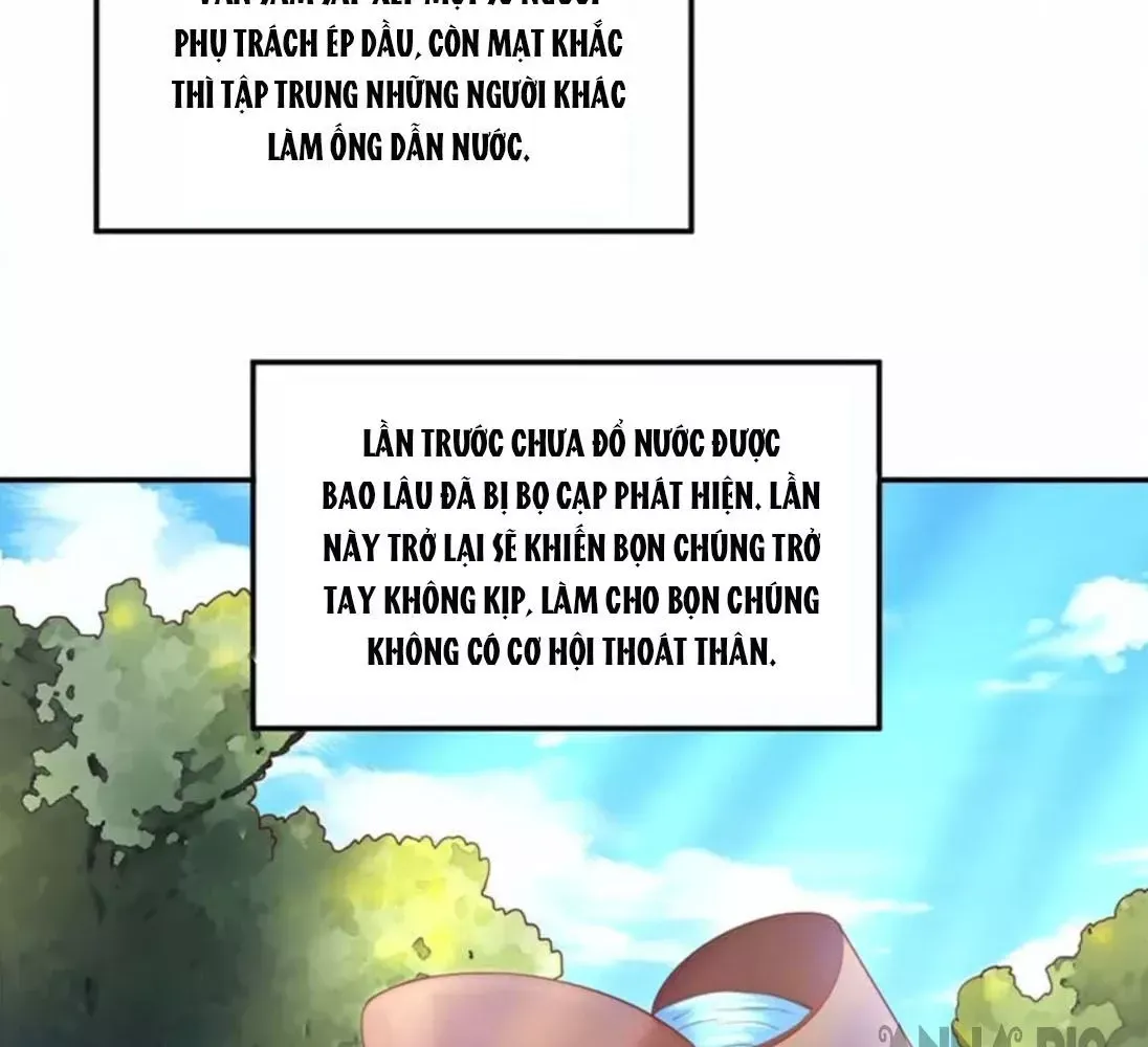 Thảnh Thơi Thú Thế Chủng Chủng Điền Sinh Sinh Tể