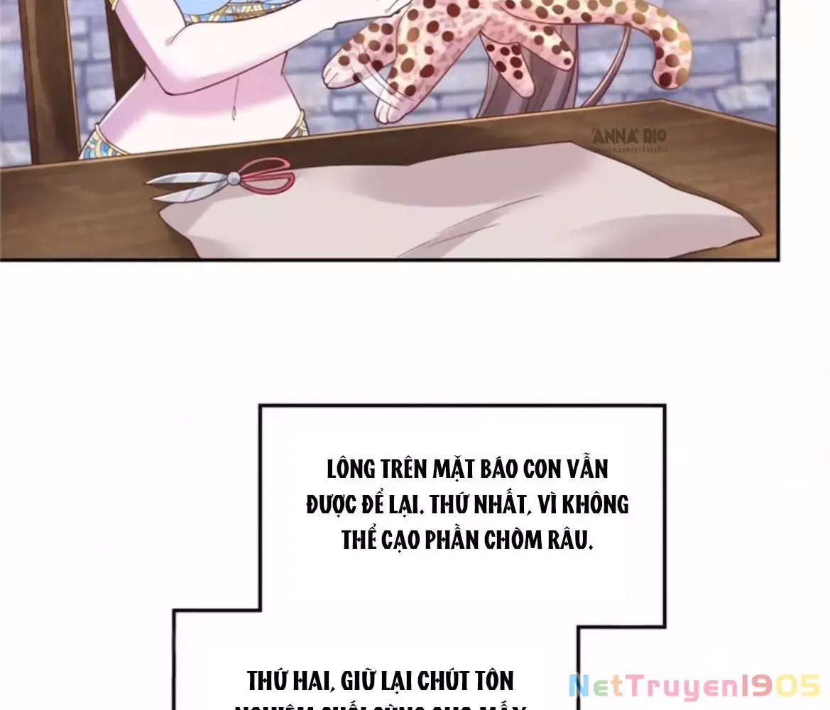 Thảnh Thơi Thú Thế Chủng Chủng Điền Sinh Sinh Tể