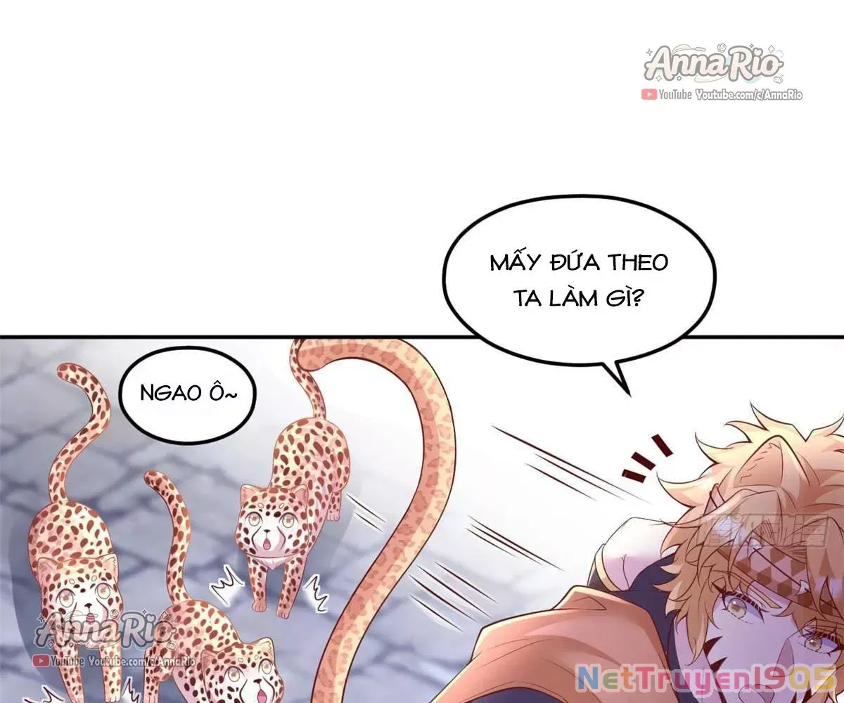 Thảnh Thơi Thú Thế Chủng Chủng Điền Sinh Sinh Tể