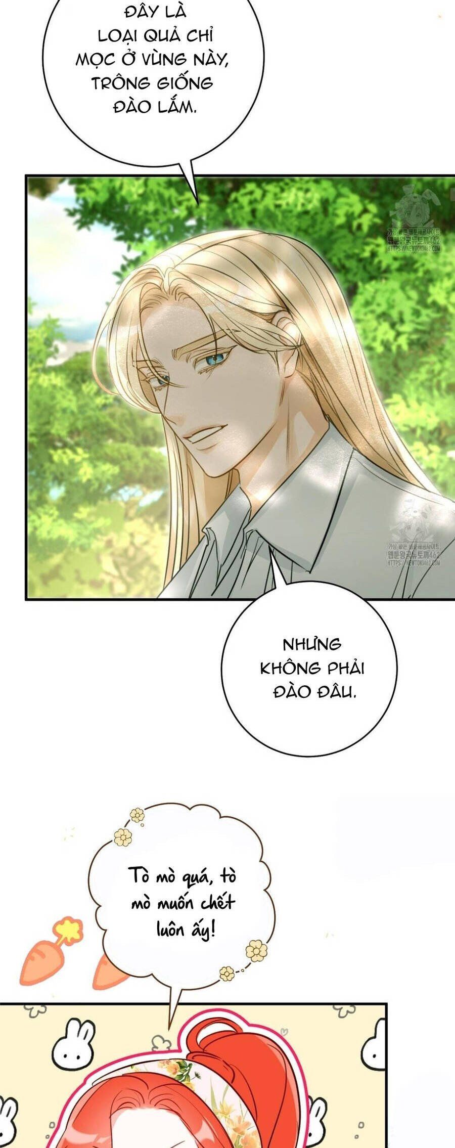 Cuộc Hôn Nhân Xa Hoa Của Đại Công Tước Là Giả [Chap 57-81] - Page 14