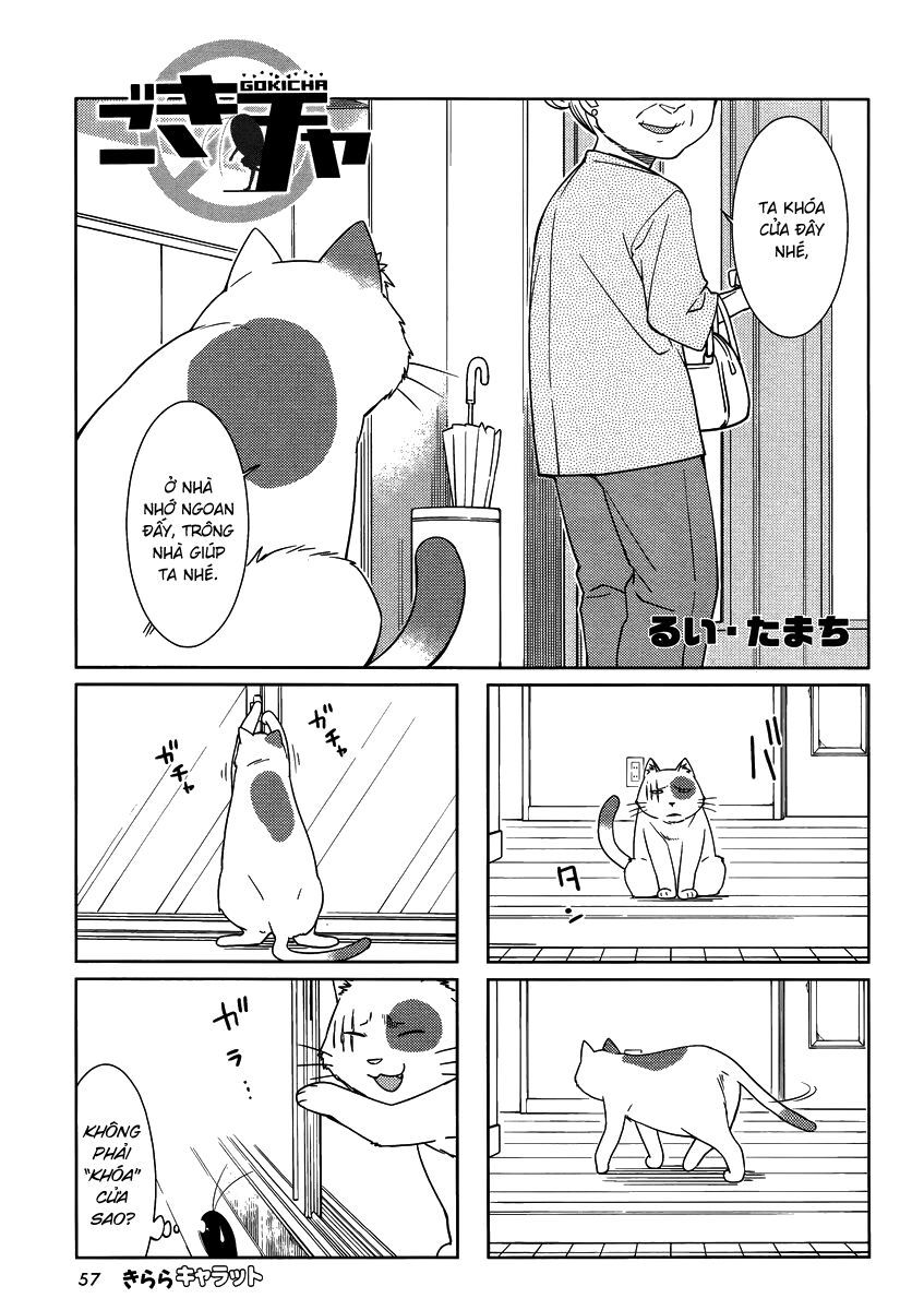 Gokicha!! [Chap 1-50]