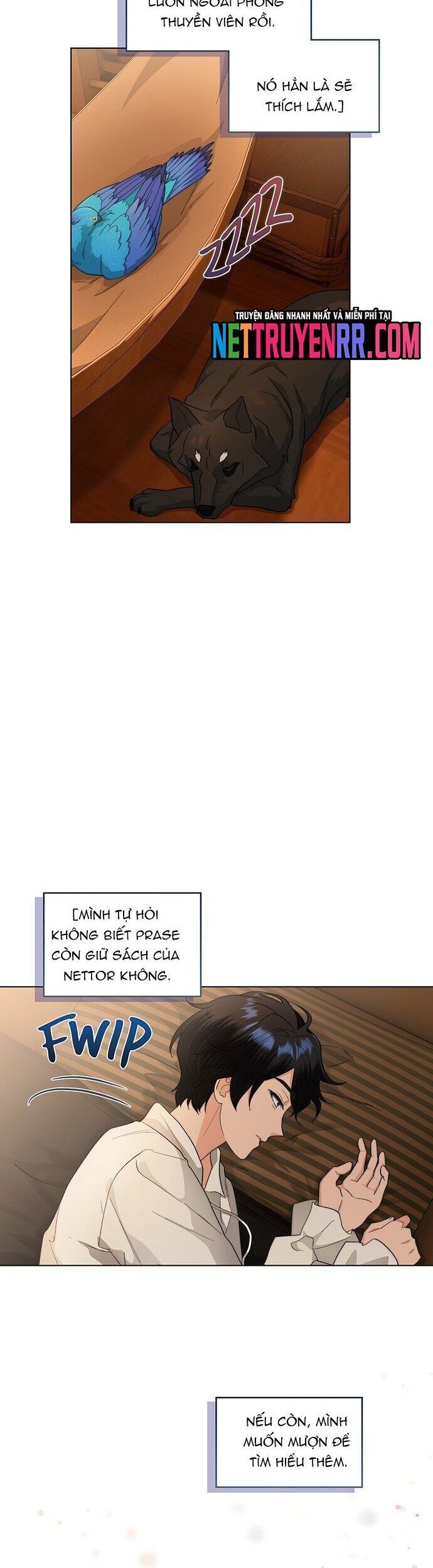Hải Âu &amp; Sói Hoang [Chap 1-46]