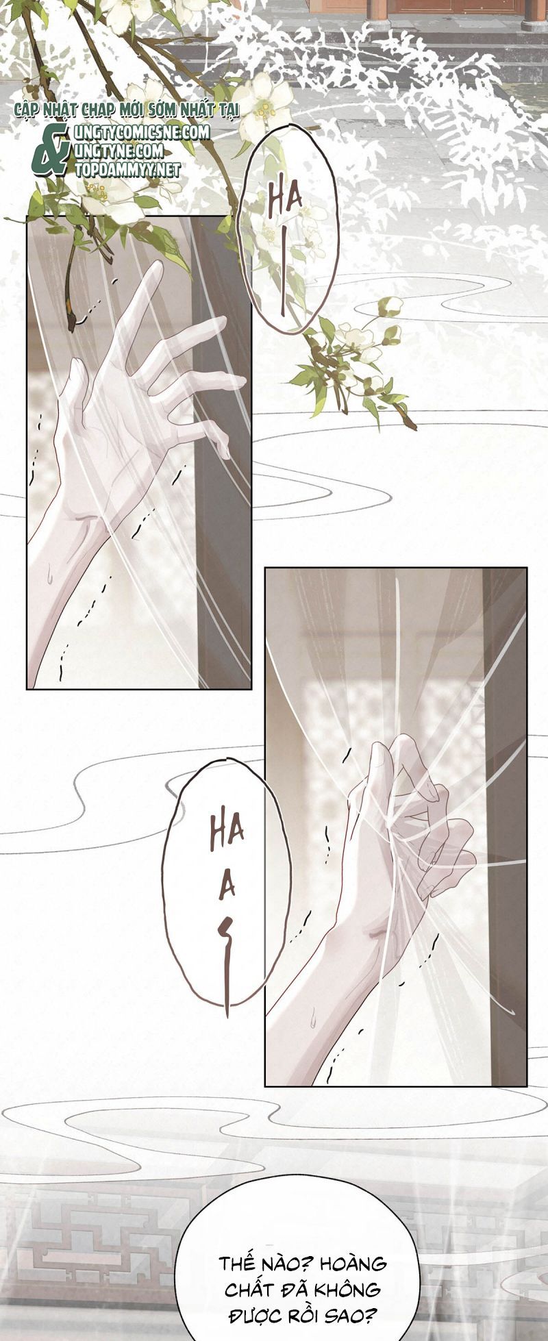 Hôm Nay Điện Hạ Bị Ám Sát Rồi À? Chapter 17 - TC Truyện