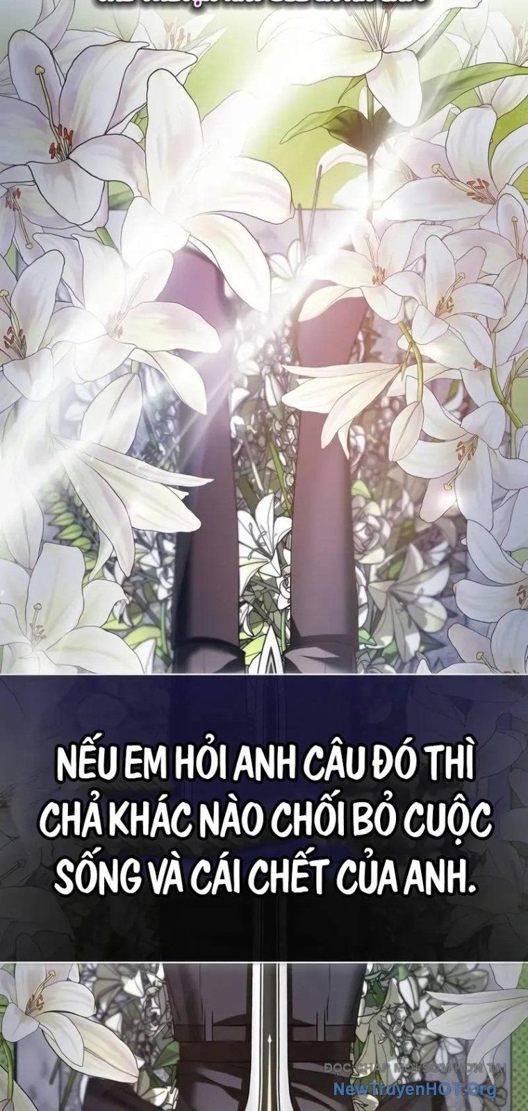 Trang truyện