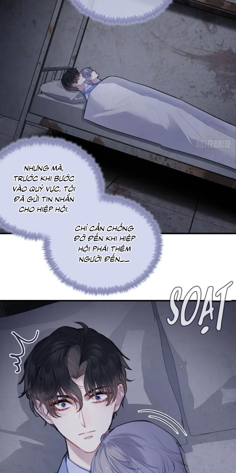 Anh Ấy Chưa Từng Rơi Xuống [Chap 134-136] - Page 11