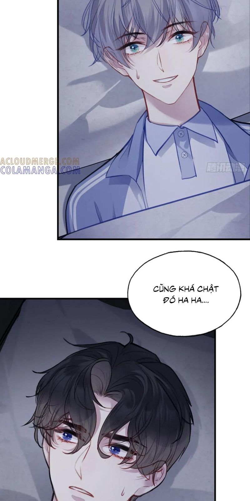 Anh Ấy Chưa Từng Rơi Xuống [Chap 134-136] - Page 5