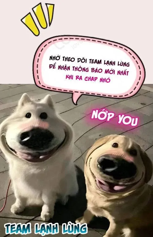 Trang truyện