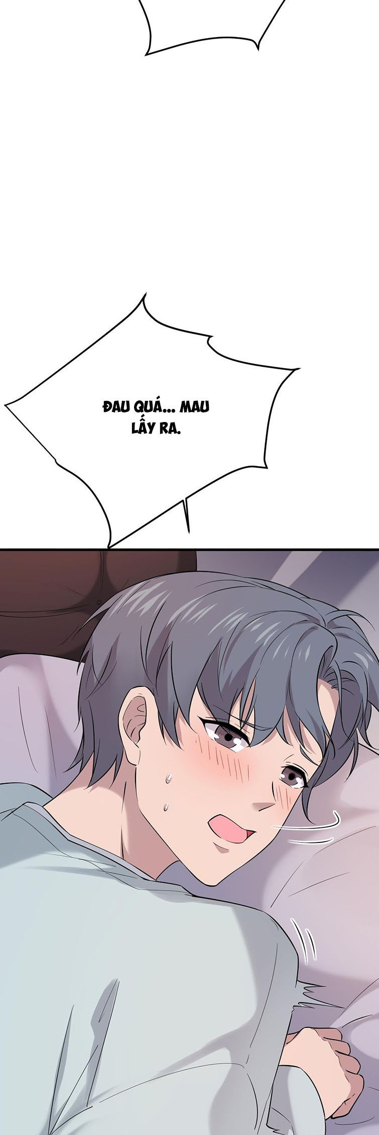 Song Trình [Chap 12-53]