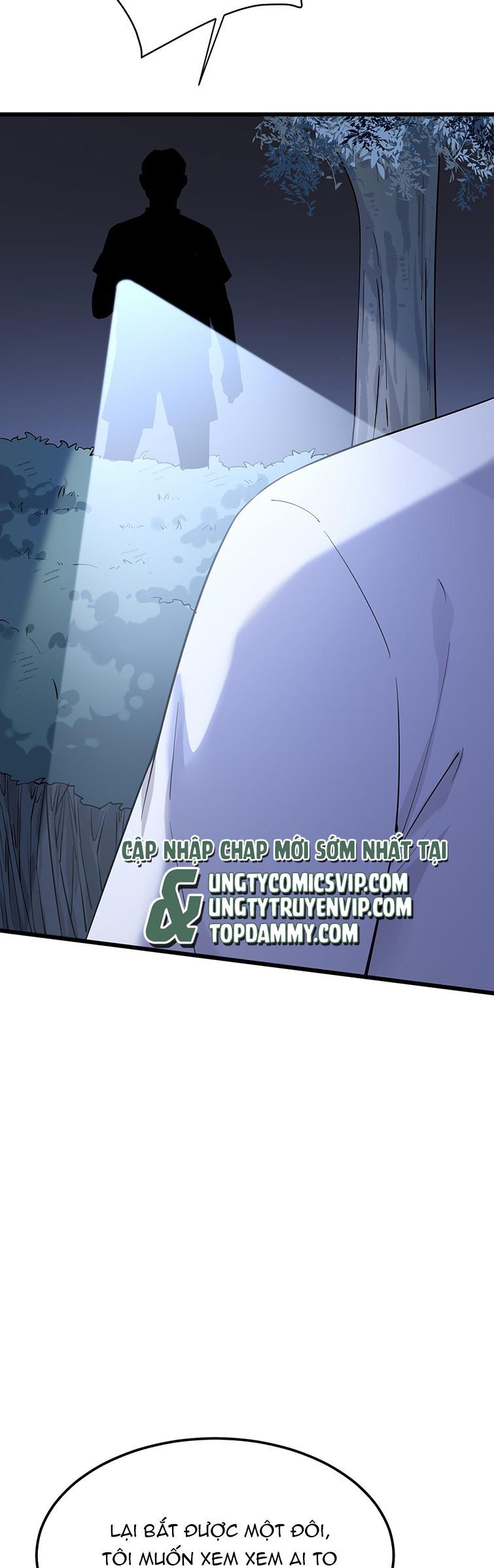 Song Trình [Chap 12-53]