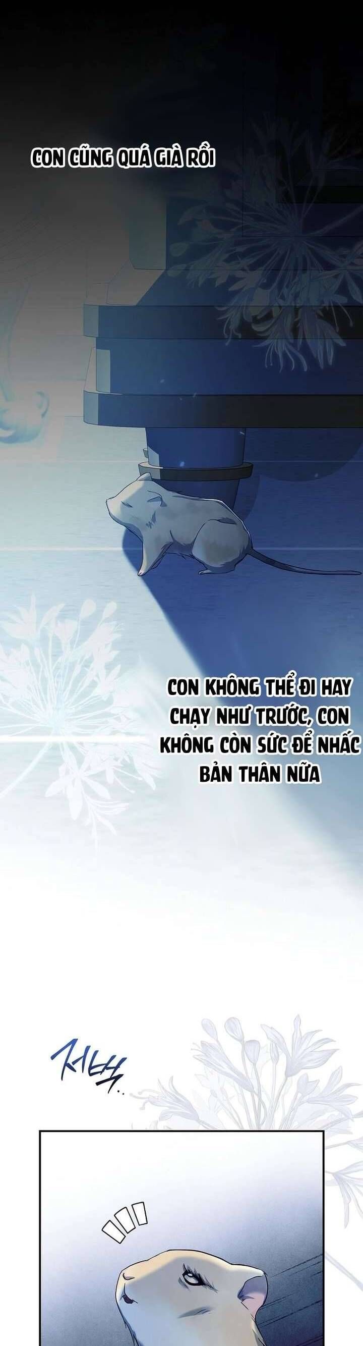 Chuột Đồng Này Sẽ Đưa Lọ Lem Đi [Chap 1-17]