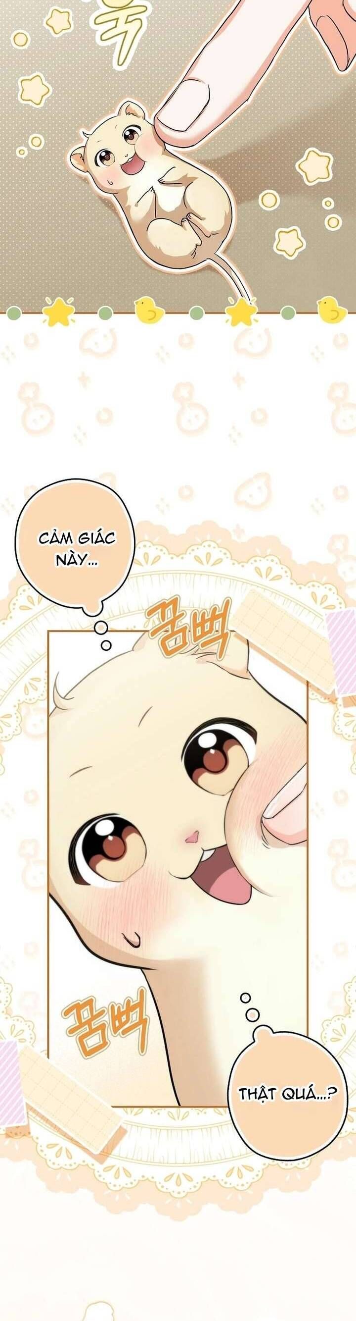 Chuột Đồng Này Sẽ Đưa Lọ Lem Đi [Chap 1-17]