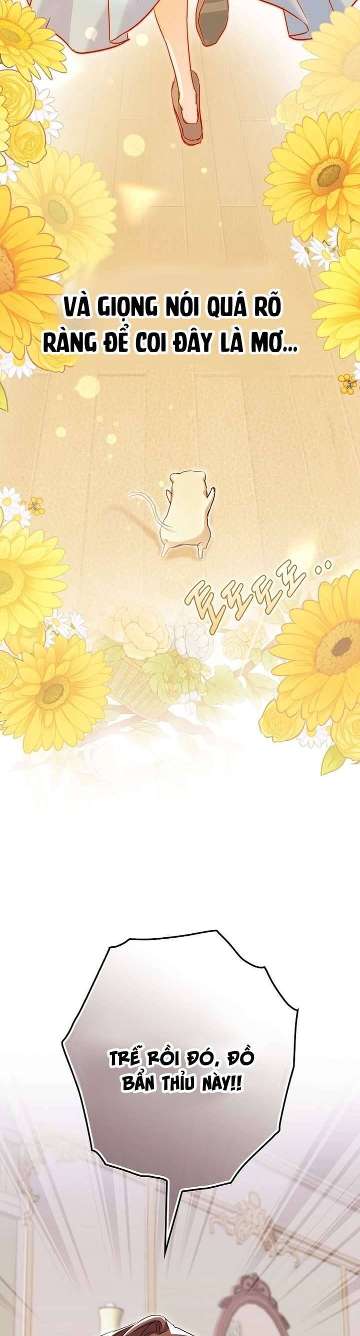Chuột Đồng Này Sẽ Đưa Lọ Lem Đi [Chap 1-17]