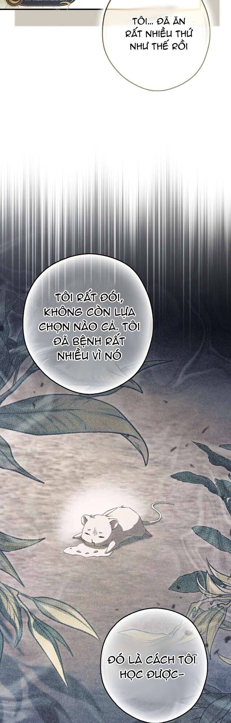 Chuột Đồng Này Sẽ Đưa Lọ Lem Đi [Chap 1-17]