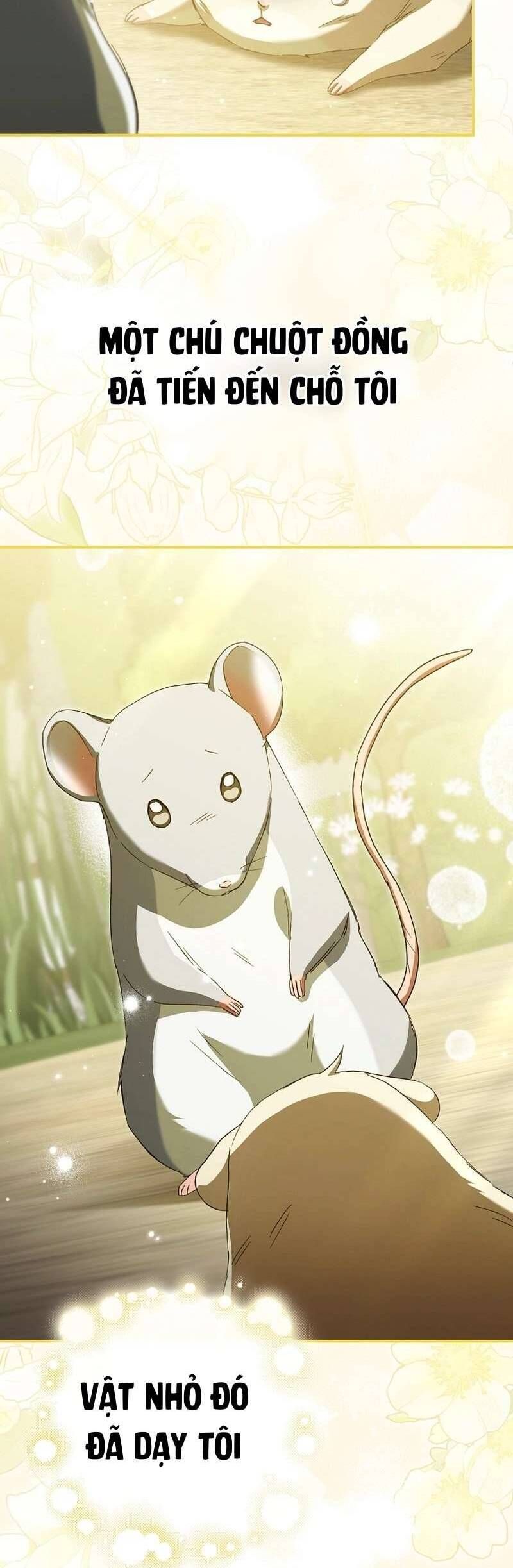 Chuột Đồng Này Sẽ Đưa Lọ Lem Đi [Chap 1-17]