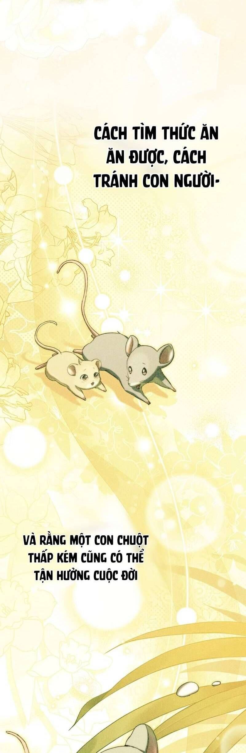 Chuột Đồng Này Sẽ Đưa Lọ Lem Đi [Chap 1-17]