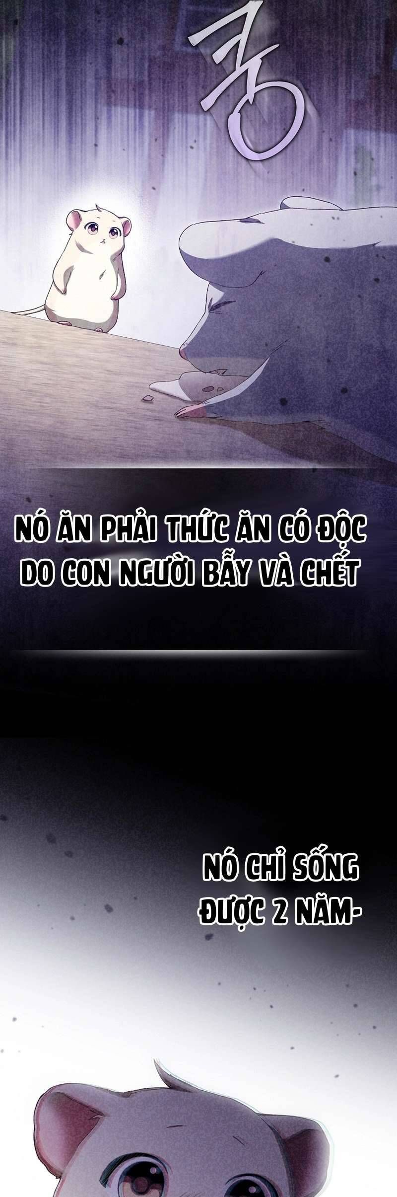 Chuột Đồng Này Sẽ Đưa Lọ Lem Đi [Chap 1-17]