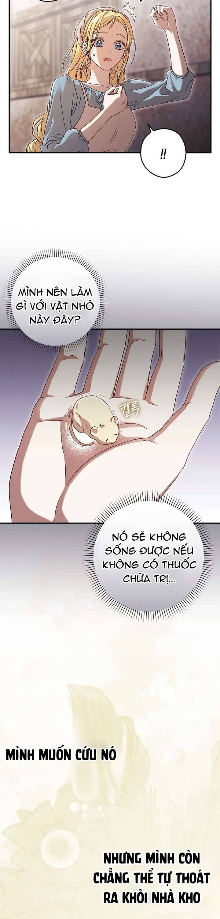 Chuột Đồng Này Sẽ Đưa Lọ Lem Đi [Chap 1-17]