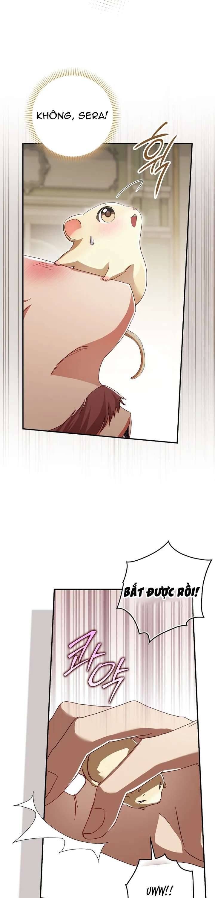 Chuột Đồng Này Sẽ Đưa Lọ Lem Đi [Chap 1-17]