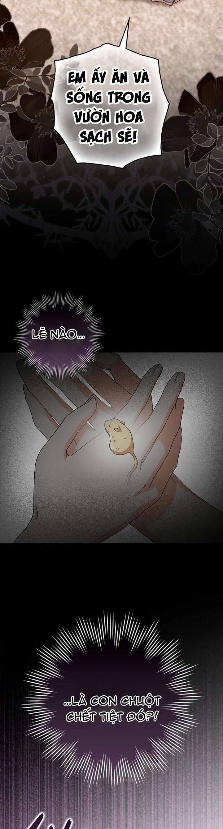 Chuột Đồng Này Sẽ Đưa Lọ Lem Đi [Chap 1-17]