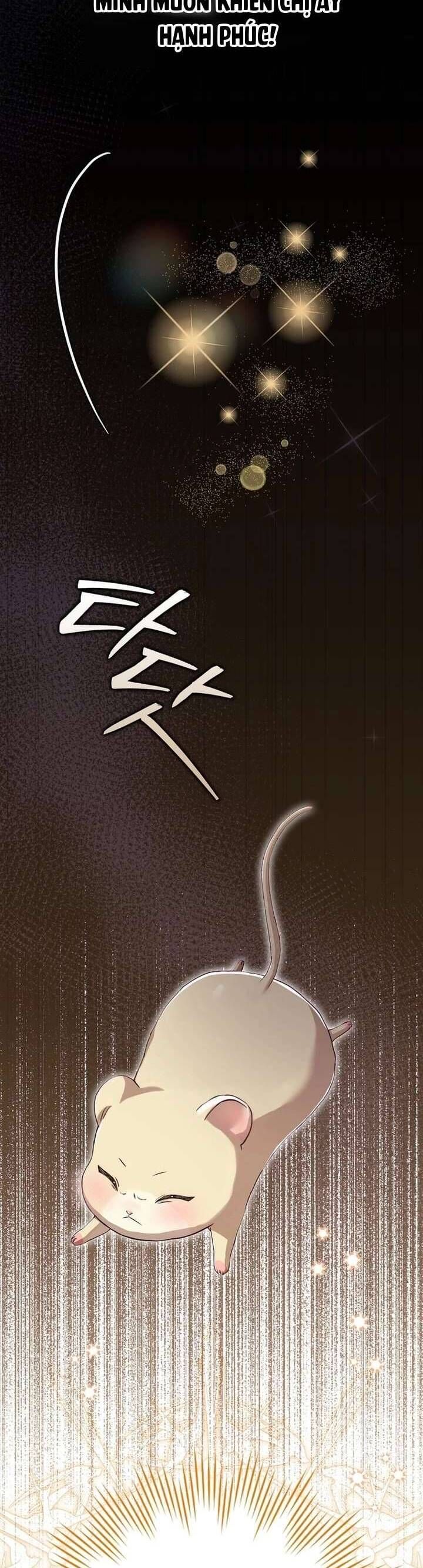 Chuột Đồng Này Sẽ Đưa Lọ Lem Đi [Chap 1-17]