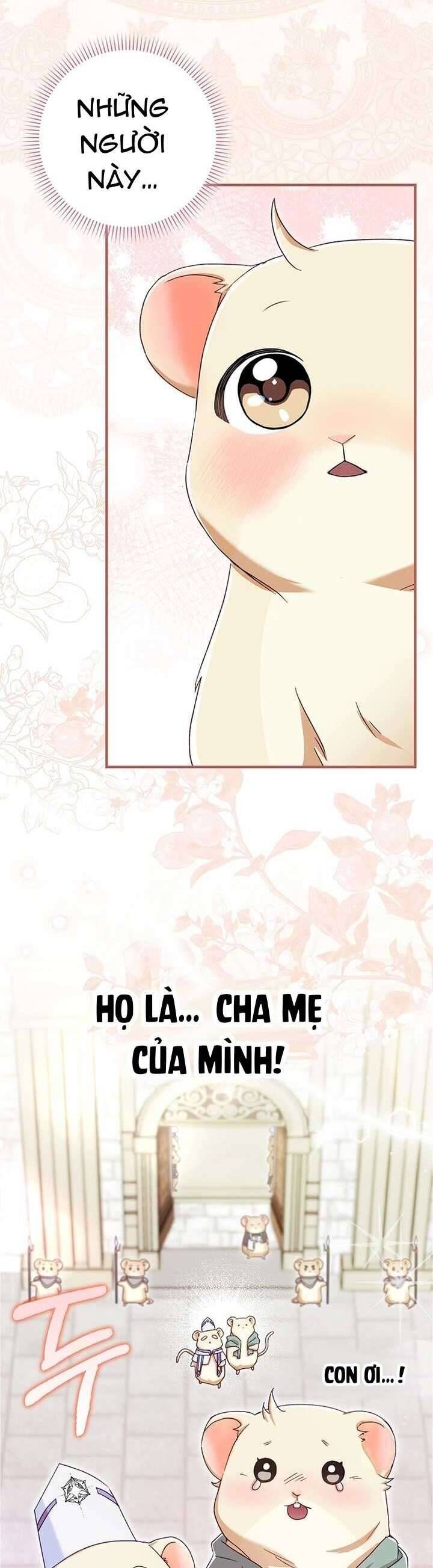 Chuột Đồng Này Sẽ Đưa Lọ Lem Đi [Chap 1-17]
