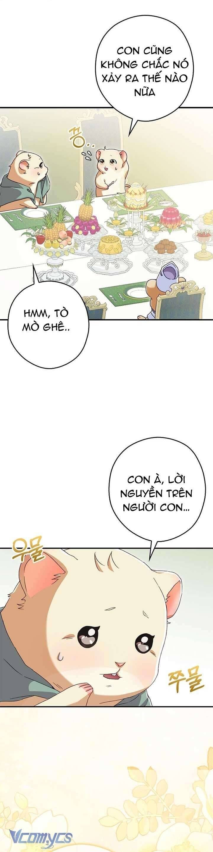 Chuột Đồng Này Sẽ Đưa Lọ Lem Đi [Chap 1-17]