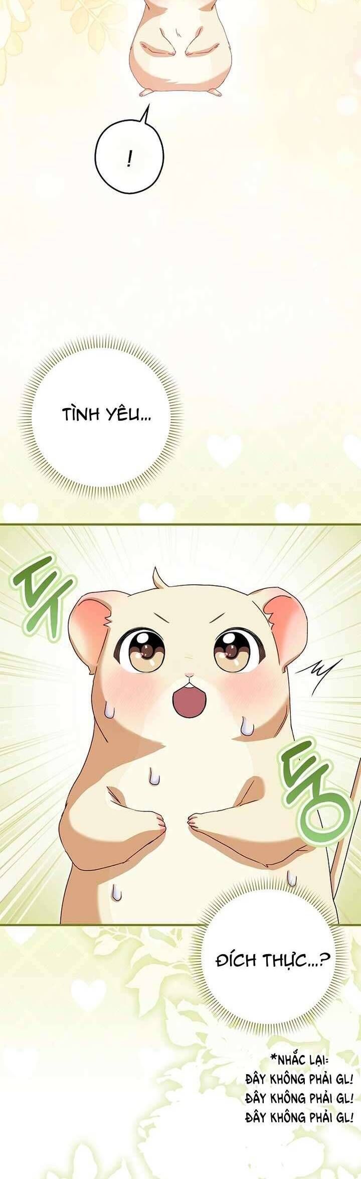 Chuột Đồng Này Sẽ Đưa Lọ Lem Đi [Chap 1-17]