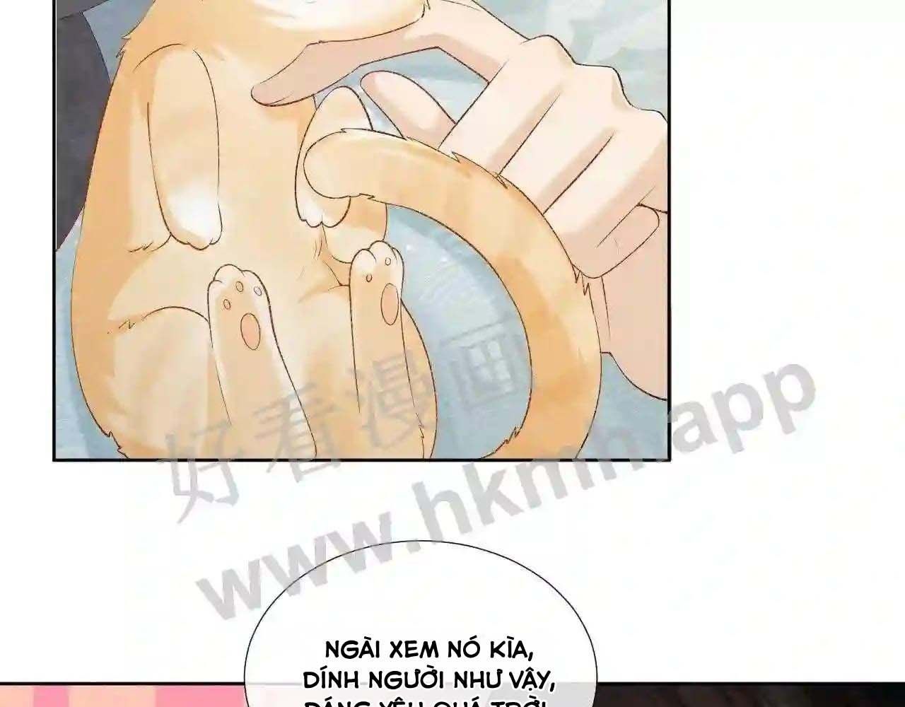 Cạm Bẫy Lệch Lạc [Chap 1-37]