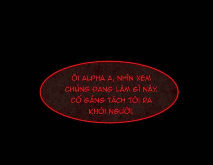 Cột Sống Đỏ [Chap 1-35]