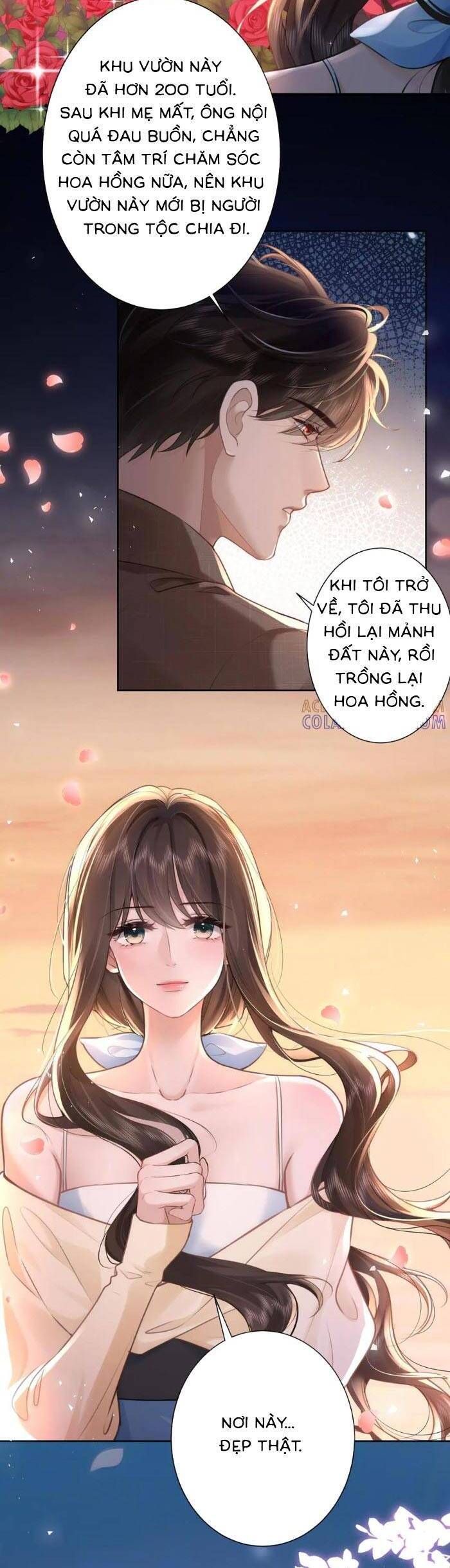 Tổng Tài Cố Chấp Xin Hãy Buông Tha [Chap 28]
