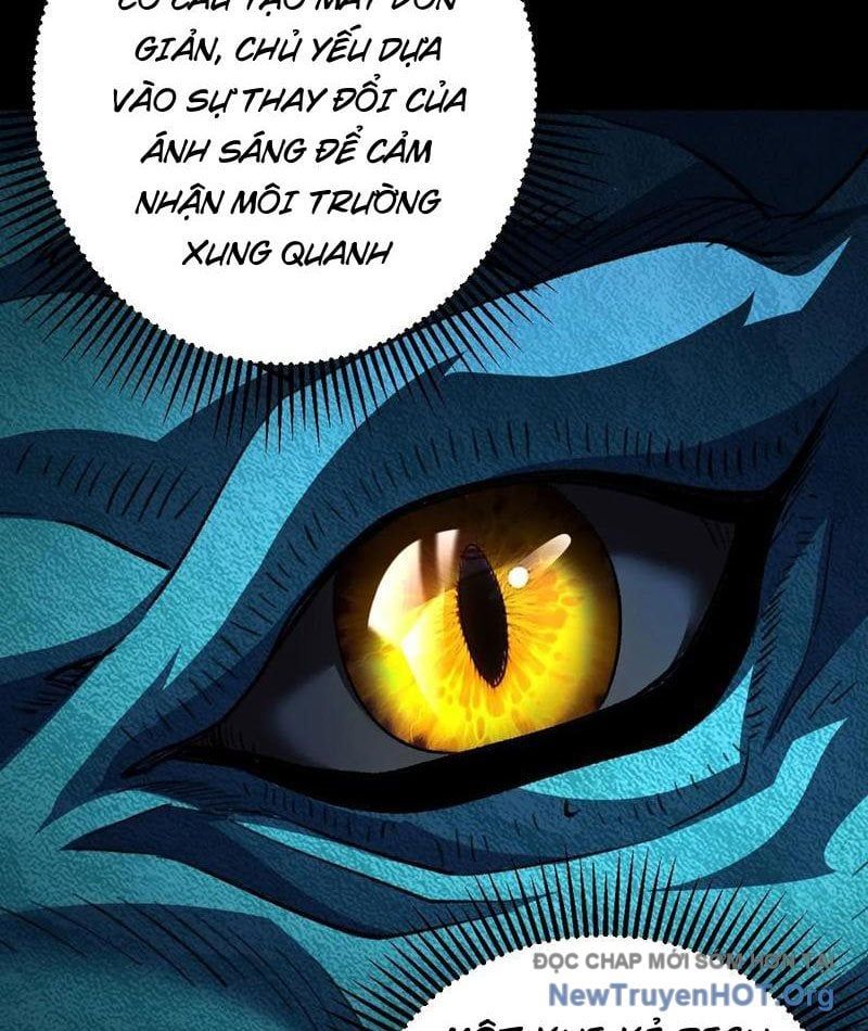 Dị Biến Giáng Lâm Nhân Gian Triệu Hoán Chi Chủ! [Chap 36-41]