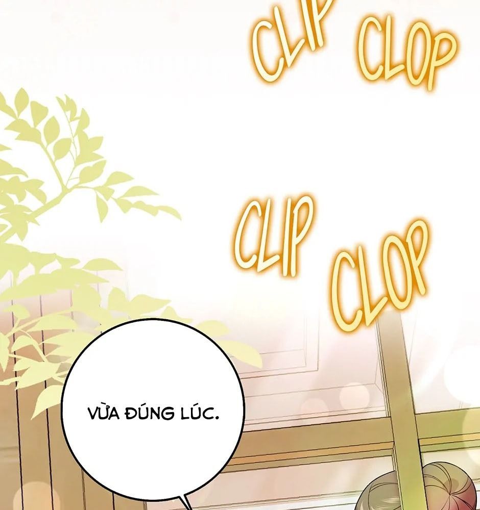 Lọ Lem Đã Mất Tích [Chap 1-38]