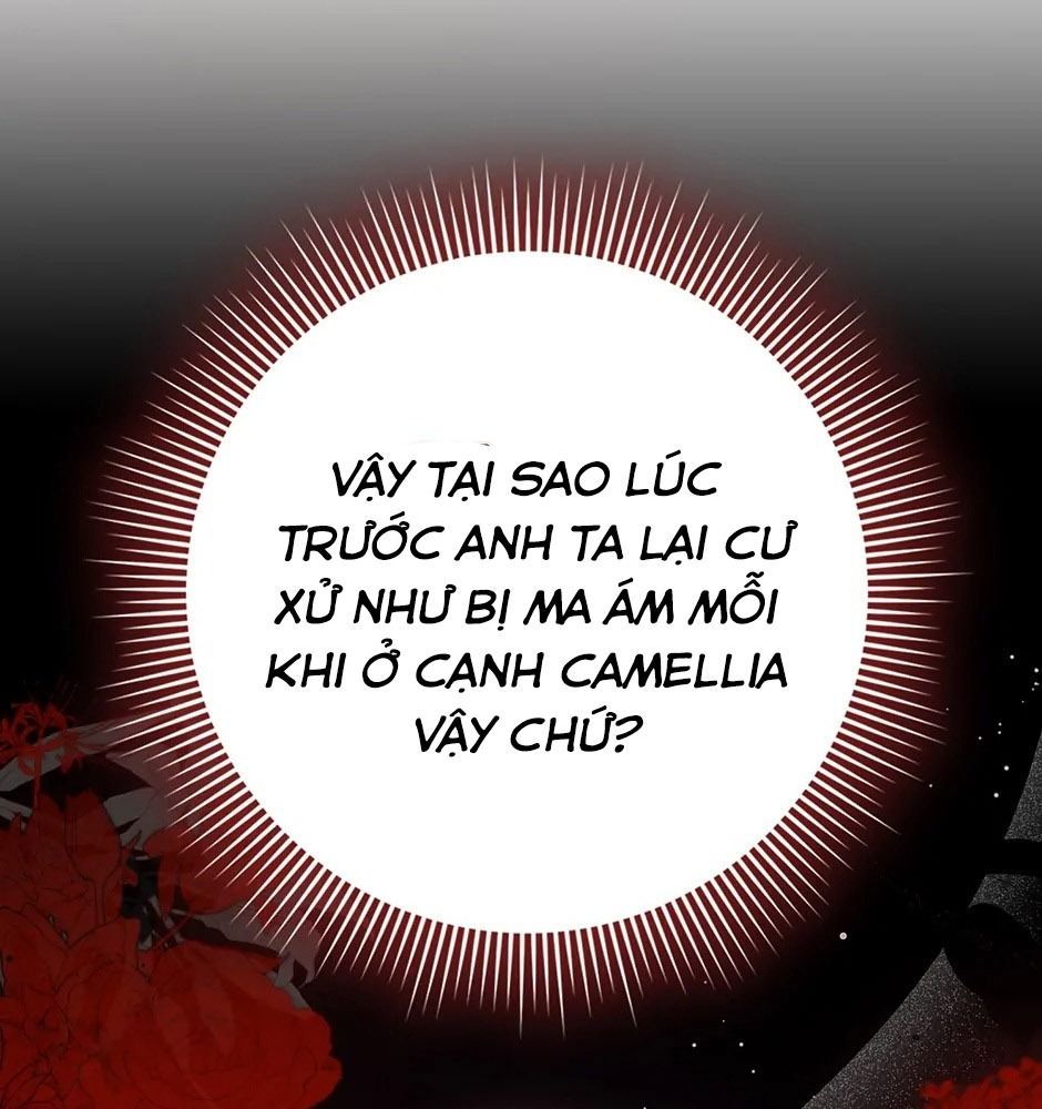 Lọ Lem Đã Mất Tích [Chap 1-38]