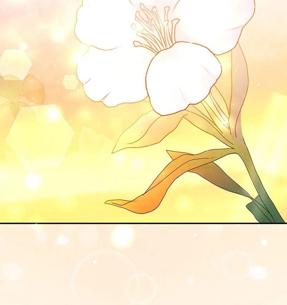 Lọ Lem Đã Mất Tích [Chap 1-38]
