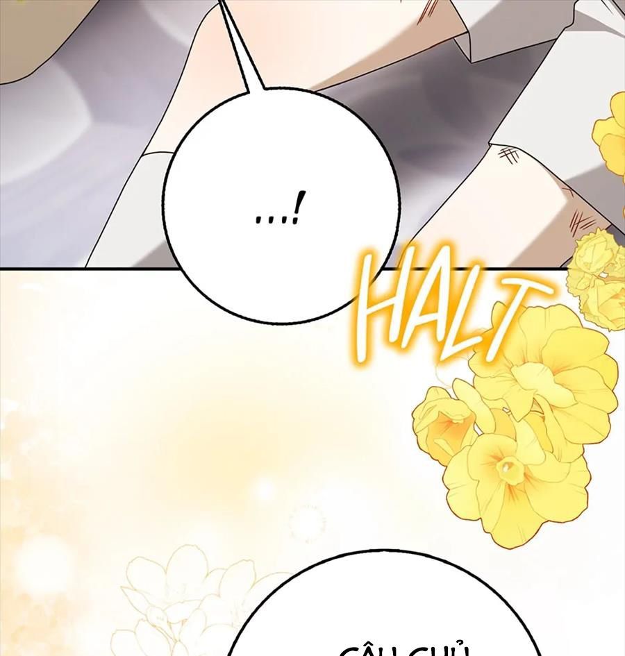 Lọ Lem Đã Mất Tích [Chap 1-38]