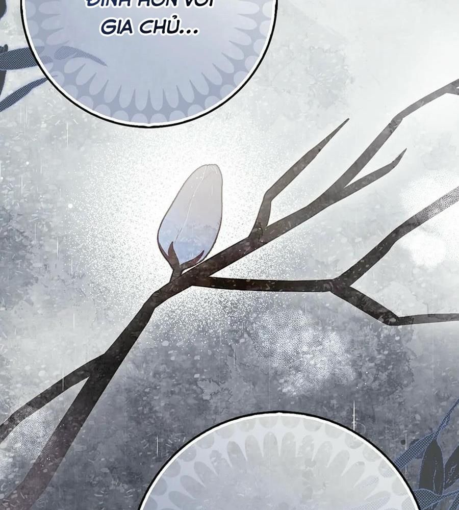 Lọ Lem Đã Mất Tích [Chap 1-38]