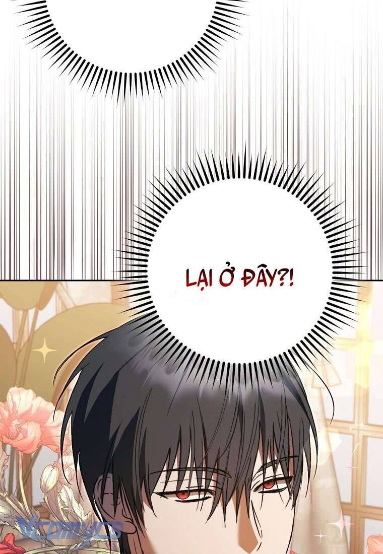 Các Nam Chính Đã Bị Nữ Phụ Cướp Mất [Chap 0-61]