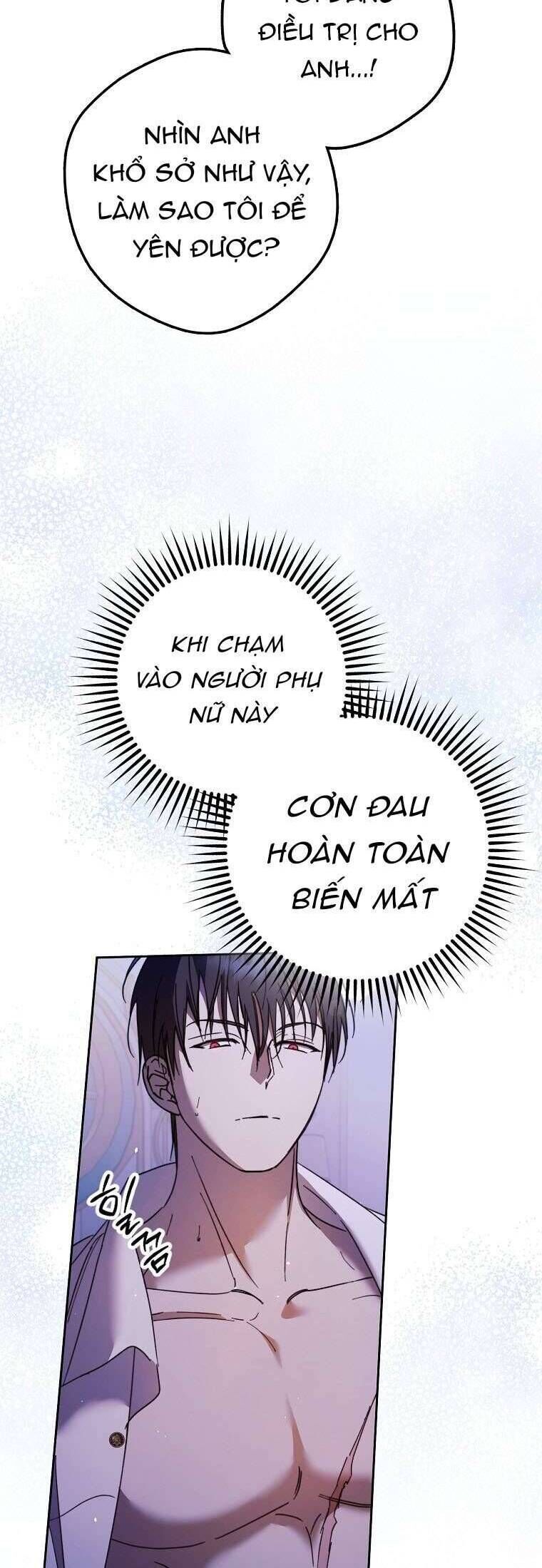 Các Nam Chính Đã Bị Nữ Phụ Cướp Mất [Chap 0-61]