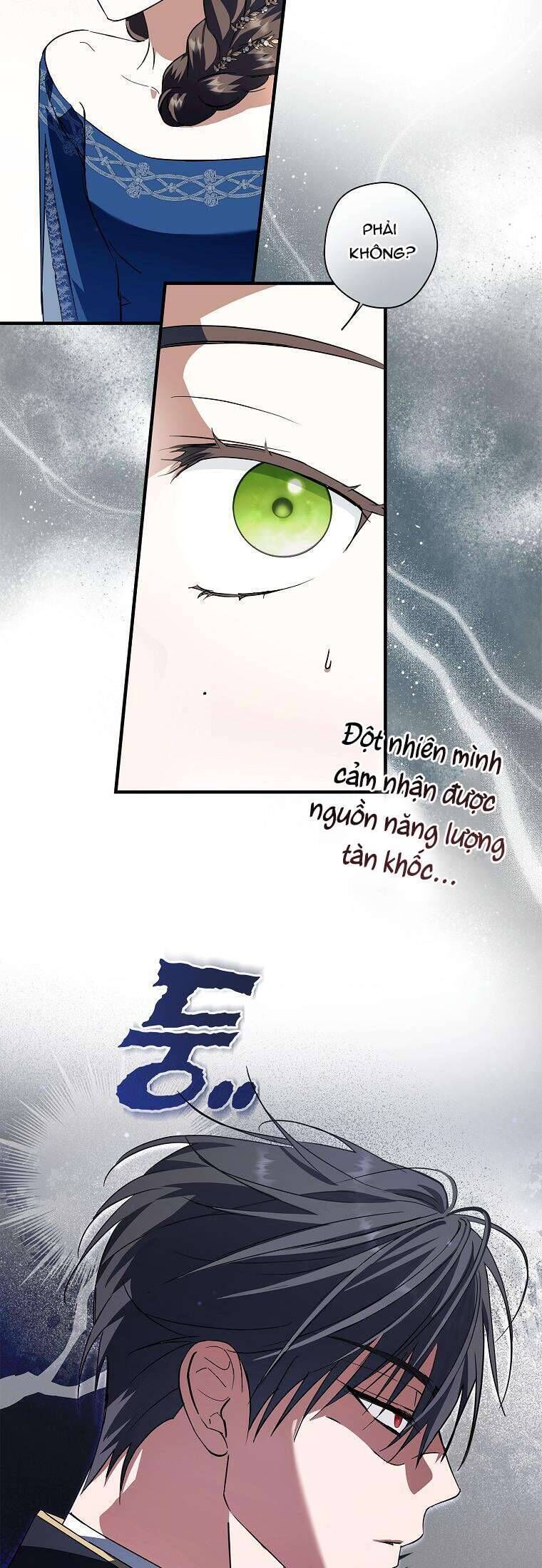 Các Nam Chính Đã Bị Nữ Phụ Cướp Mất [Chap 0-61]
