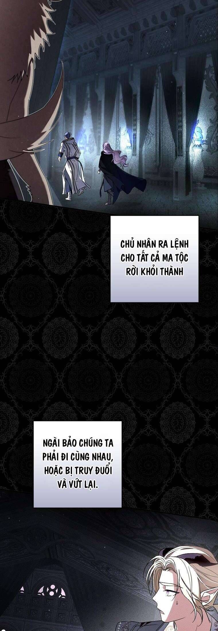 Các Nam Chính Đã Bị Nữ Phụ Cướp Mất [Chap 0-61]
