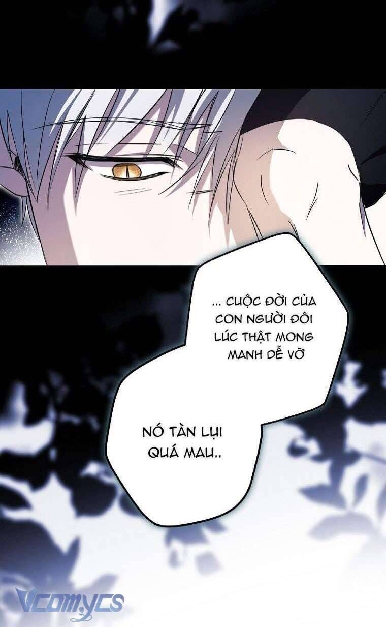 Các Nam Chính Đã Bị Nữ Phụ Cướp Mất [Chap 0-61]